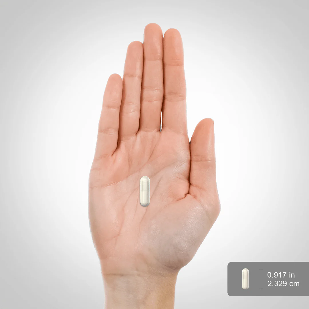 L-Tyrosine, 500 mg, 200 Quick Release Capsules - Image 3